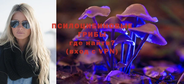 винт Богданович