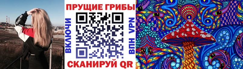 купить наркотики цена  OMG ССЫЛКА  даркнет телеграм  Санкт-Петербург  Галлюциногенные грибы ЛСД 