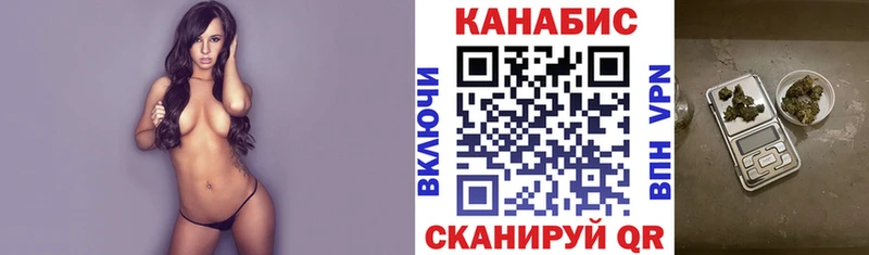 где купить наркоту  Санкт-Петербург  Шишки марихуана SATIVA & INDICA 